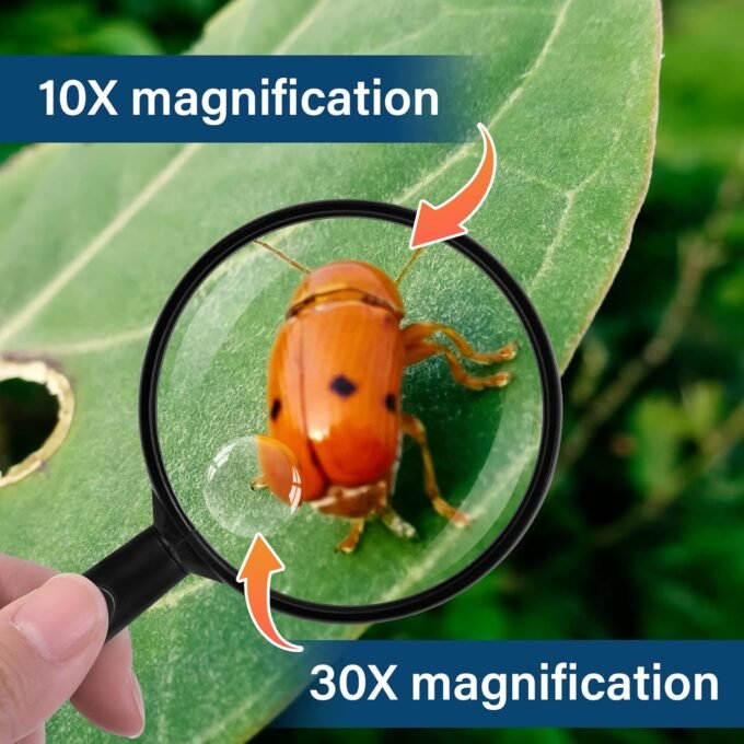 MAGNIFYING GLASS